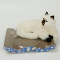 Crazy Selling Various Designs Cat Scratchers Conseil Jouet Durable Wave Courbe Conception Jouet Pour Chat